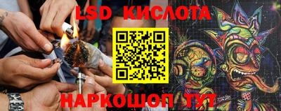 стафф Шебекино