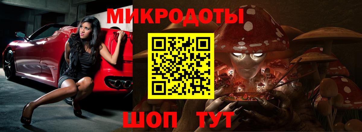 Псилоцибиновые грибы Cubensis Выкса